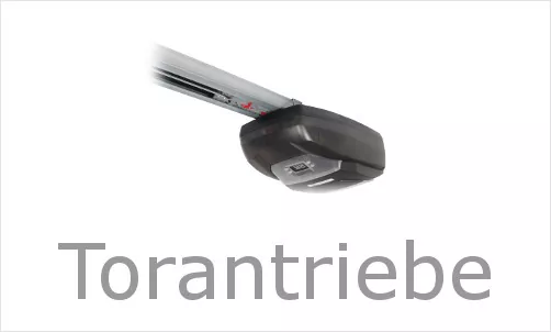 Torantriebe