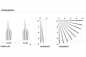 Preview: MyNice Infrarotmelder MNCPIR2AA Preview: MyNice Infrarotmelder MNCPIR2AA