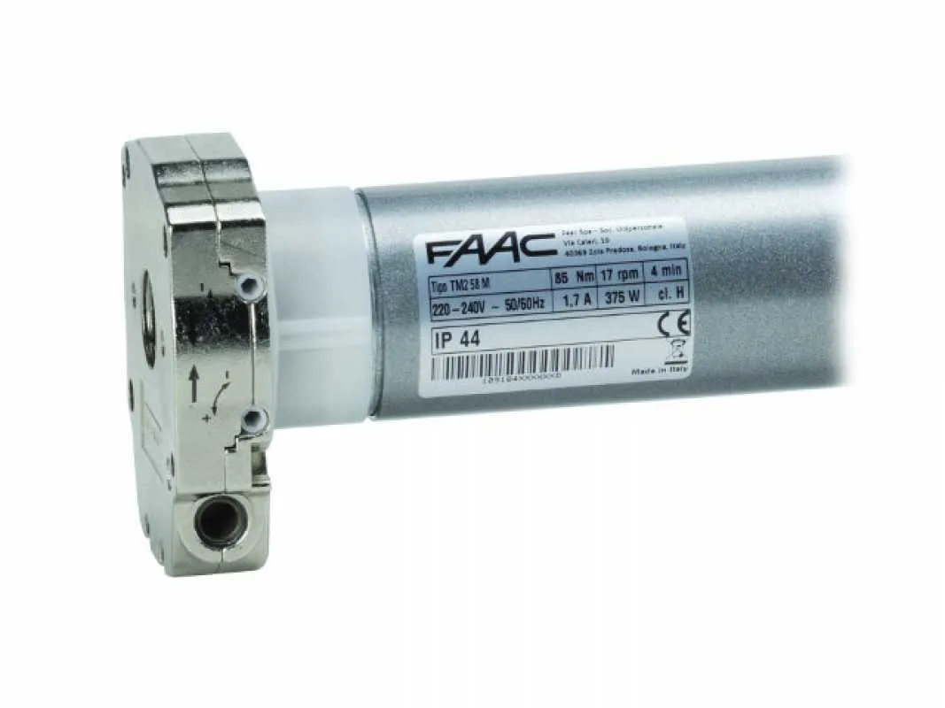 FAAC TM2 58 M | Antrieb mit Notbedienung